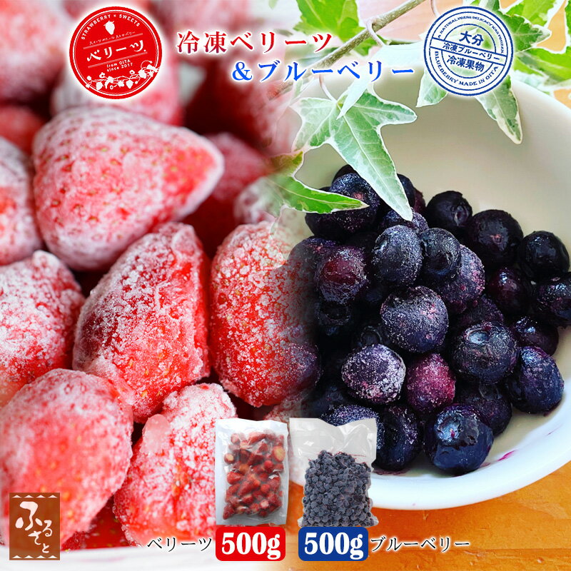 大分県産 冷凍 ベリーツとブルーベリーセット 500gx2 大分 国産 フルーツ 果物 くだもの スイーツ お菓子 おやつ スムージー ジャム アイス 製菓 ケ...