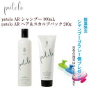 【プレゼントキャンペーン】プテロ ARシャンプー 300mL&ヘア&スカルプパック 240g スカルプ ケアシャンプー きめ細かい泡 エイジングケア 毛髪 ハリ コシ 植物エキス 頭皮 みずみずしい 汚れ ヴァーベナ 柑橘系 リフレッシュ 頭皮マッサージ 薄毛 育毛 抜け毛予防 putelo