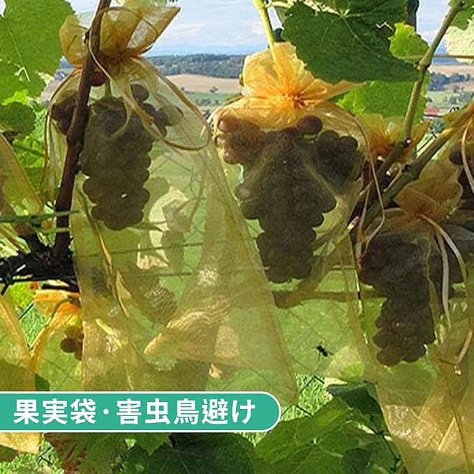 果物袋 保護ネット 100枚入り 果樹用防鳥ネット 通気性 メッシュ 鳥よけ 害虫対策 ...