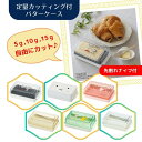 スケーター 定量カッティングガイド付バターケース BTG1