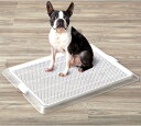 犬 犬用 トイレ トレー ペットトレー トイレトレー ワイドサイズシーツ対応 クリアメッシュ Mサイズ おしゃれ 透明 メッシュ シンプル 小型犬 中型犬 子犬...