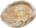 レプティボウル MF 爬虫類 両生類 爬虫類用品 餌 えさ 餌入れ 餌皿 エサ皿 水入れ 滑りにくい すべりにくい 滑り止め付き すべり止め 亀 カメ 陸ガメ ...