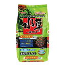 水草 栄養【GEX 水草一番サンド 2kg】水槽 砂 ソイル 水槽 ジェックス 観賞魚 魚 飼育 飼育用 観賞魚用 熱帯魚 熱帯魚用 アクアリウム アクアリウム...