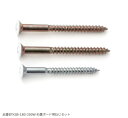 オプション品 棚受BTK型専用 石膏ボード向けねじセット 【BTKSB-180-300W】 スガツネ工業 LAMP ランプ