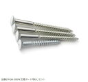 オプション品 棚受BTK型専用 石膏ボード向けねじセット 【BTKSB-380W】 スガツネ工業 LAMP ランプ