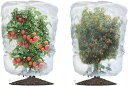 「10%OFFクーポン配布中」植物保護カバー 2個セット 防虫ネット 防鳥ネット 園芸用ネット 菜園 プランター 花壇適用のホワイト野菜栽培 園芸用ネット 透明...