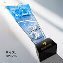 刻印無料 クリスタルトロフィー 国民スポーツ大会 第3回 大会 天皇杯 皇后杯 冬季大会 本大会 総合成績 男女総合成績 第1位 女子総合成績 授与 総合閉会式 総合開会式 冬季 スキー競技 スケート競技