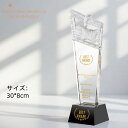 刻印無料 クリスタルトロフィー 国民スポーツ大会 第3回 大会 天皇杯 皇后杯 冬季大会 本大会 総合成績 男女総合成績 第1位 女子総合成績 授与 総合閉会式 総合開会式 冬季 スキー競技 スケート競技