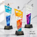 刻印無料 クリスタルトロフィー 国民スポーツ大会 第3回 大会 天皇杯 皇后杯 冬季大会 本大会 総合成績 男女総合成績 第1位 女子総合成績 授与 総合閉会式 総合開会式 冬季 スキー競技 スケート競技