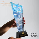 刻印無料 クリスタルトロフィー 国民スポーツ大会 第3回 大会 天皇杯 皇后杯 冬季大会 本大会 総合成績 男女総合成績 第1位 女子総合成績 授与 総合閉会式 総合開会式 冬季 スキー競技 スケート競技