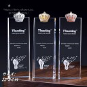 クリスタルトロフィー 国民スポーツ大会 第3回 大会 天皇杯 皇后杯 冬季大会 本大会 総合成績 男女総合成績 第1位 女子総合成績 授与 総合閉会式 総合開会式 冬季 スキー競技 スケート競技
