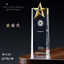 クリスタルトロフィー 国民スポーツ大会 第3回 大会 天皇杯 皇后杯 冬季大会 本大会 総合成績 男女総合成績 第1位 女子総合成績 授与 総合閉会式 総合開会式 冬季 スキー競技 スケート競技