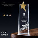 クリスタルトロフィー 国民スポーツ大会 第3回 大会 天皇杯 皇后杯 冬季大会 本大会 総合成績 男女総合成績 第1位 女子総合成績 授与 総合閉会式 総合開会式 冬季 スキー競技 スケート競技