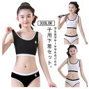 【送料無料】ショーツ 2点セット 上下セット キッズ 子供 無地 リブ ジュニア 下着セット パッド付き ブラジャー カップ付き 大人 料女の子