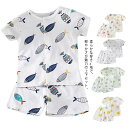 【送料無料】男の子 女の子 部屋着 前開 Tシャツ 半ズボン セットアップ 快適 コットン ウエストゴム 子供用 キッズ トップス