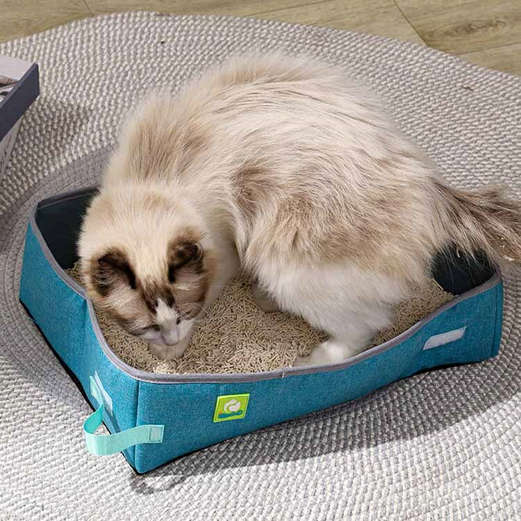【送料無料】M 避難時 車内用 簡易トイレ 折り畳み 猫用トイレ ペット用品 避難グッズ ドライブ 携帯用 ねこ ネコ 猫トイレ かけ shop-kapua-10021196 ショップカプア サンプル画像2
