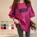 【送料無料】Tシャツ 英字 シャツ ロング丈 tシャツ 半袖 カットソー 無地 トップス レディース プルオーバー ロングTシャツ 体型カバー