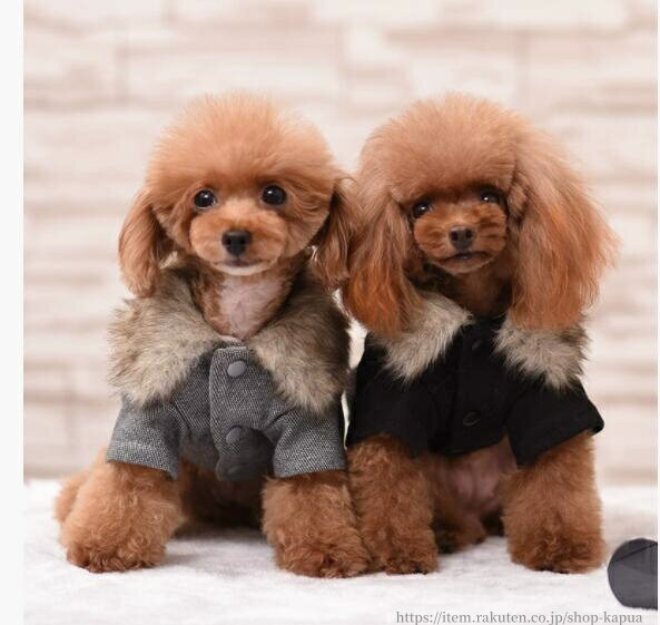 【送料無料】犬 服 ペットウェア 秋 冬 保温 ファー襟付き 防寒 あったか 小型犬 中型犬 ペット用 犬用..