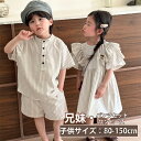 【送料無料】韓国 子供服ストライプ 上下セット ワンピース 女の子 ボーダー 男の子 可愛い 兄妹お揃い アロハ シャツ パンツ 夏服 ビーチウ