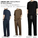【送料無料】冷感 上下セット メンズ アイスシルク 半袖Tシャツ+ロングパンツ ひんやり 夏用 セットアップ 吸汗 速乾 ストレッチ ドライ ジャージ 運動着 軽量 無地 春 夏 秋