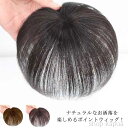 【送料無料】普段使い かつら ポイントウィッグ 部分ウィッグ レディース 付け毛 脱毛症 薄毛 白髪隠れ