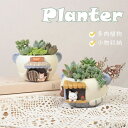 【送料無料】プランター 植木鉢 多肉植物 寄せ植え 置物 インテリア 苔リウム 鉢 容器 卓上 動物 アニマル 母の日 ミニ 多肉 苔 小物収納 樹脂 かわいい...