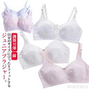 【送料無料】子供 可愛い 中学生 高校生 ジュニア インナー ノンワイヤー ブラジャー キッズ ガールズ 小学生 ブラ ふんわりカップ 後ろホック ストラップ調節可能 綿 リボン 女の子 白 スクール 肌着 ジュニアブラ