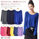 【送料無料】 16色展開 透けない Tシャツ 長袖 ブラウス チュニック レディース 無地 フリーサイズ カットソー カジュアル トップス ベーシック(4)