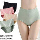 【送料無料】レディースショーツ ショーツ ハイウエストショーツ レディース パンツ ガードルショーツ 無地 女性 下着 深履き 深め おなかすっぽり 保温 冷え性対策 お腹 引き締め インナー 単品 保温 冷えケア お尻すっぽり 食い込まない M L XL