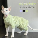 【送料無料】キャットウエア ストライプ 猫服 長袖 柔らかい 肌着 春夏秋 ペットウエア おしゃれ セーター パーカー コニス無毛の猫 着脱簡単