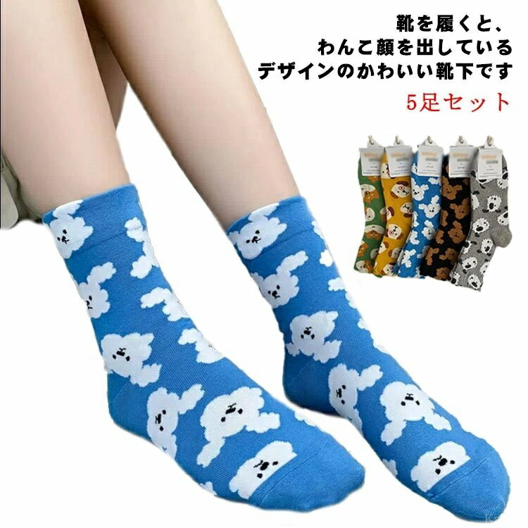 【送料無料】スポーツ ソックス 靴下 女の子 大人 くつ下 くつした おしゃれ カジュアルソックス スタンダードソックス 5柄組
