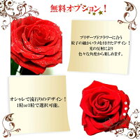 大きい大輪の一輪薔薇誕生日プレゼント/女性へプロポーズ/発表会に人気!お祝いに一本バラのプレゼント/プリザードフラワー/誕生日/結婚祝い/開店祝い/新築祝い/ギフト/彼女ホワイトデー/母の日/送料無料商品番号1225