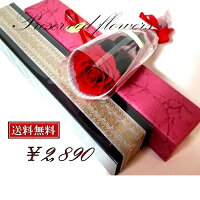 大きい大輪の一輪薔薇誕生日プレゼント/女性へプロポーズ/発表会に人気!お祝いに一本バラのプレゼント/プリザードフラワー/誕生日/結婚祝い/開店祝い/新築祝い/ギフト/彼女ホワイトデー/母の日/送料無料商品番号1225