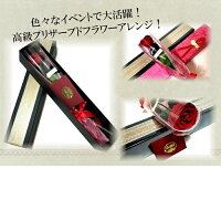 大きい大輪の一輪薔薇誕生日プレゼント/女性へプロポーズ/発表会に人気!お祝いに一本バラのプレゼント/プリザードフラワー/誕生日/結婚祝い/開店祝い/新築祝い/ギフト/彼女ホワイトデー/母の日/送料無料商品番号1225