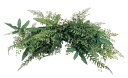 アジアンタム 観葉植物 造花 人工観葉植物 消臭・抗菌 UDD触媒 ミックスリーフスワッグ 77cm 壁掛け 壁面緑化 フェイクグリーン 【RCP】