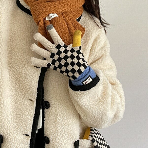 秋冬 手袋 ニット スマホタッチ 毛糸 裏起毛 厚手 あったかい 保温 レディース