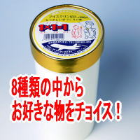 【送料無料】高知名物　1×1＝1　アイスクリン　1L×2