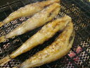 高知 めひかり 天日干し 特大サイズ 300g