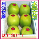 【送料無料】高知県特産 水晶文旦 5玉or 6玉入り3kg(高知特産 土佐文旦 温室) - SHOP KEYYA(しょっぷ きいや)