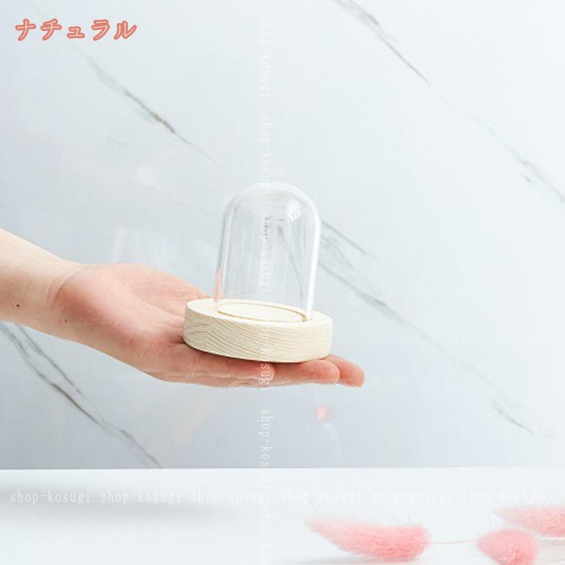 500円OFFクーポン ガラスドーム 透明ドーム 軽量 卓上展示 防塵 工芸品 ジュエリー...