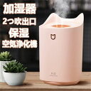 加湿器 おしゃれ USB アロマディフューザー 空気浄化機 2つ吹出口 噴霧 オフィス 乾燥対策 3L大容量 卓上加湿器 静音 オフィス 省エネ 節電 かわいい...
