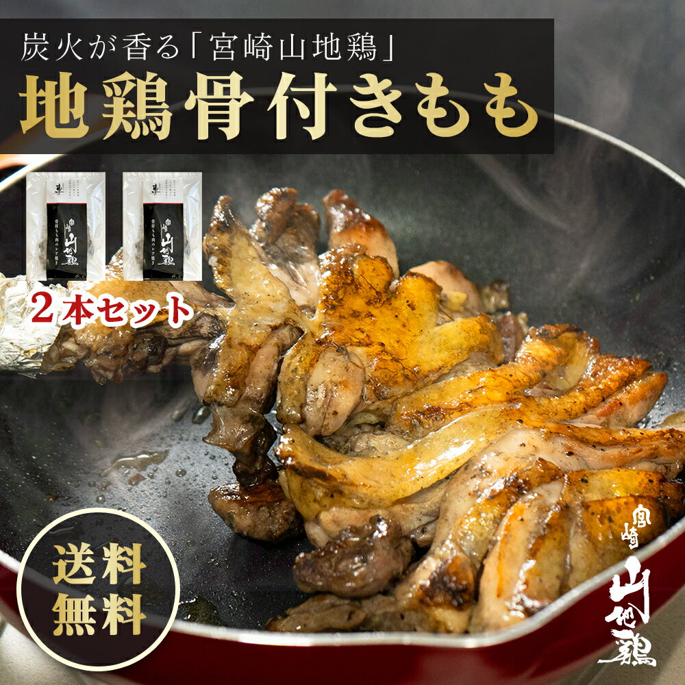 【送料無料】宮崎山地