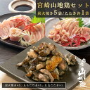 【送料無料】宮崎山地鶏 炭火焼き5袋、たたきもも1袋、たたき...