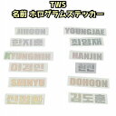 K-POP グッズ TWS トゥアス ホログラムステッカー 名前 ハングル ローマ字 #オリジナル #ペンライトシール #キラキラ #シール #ネーム サイ