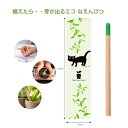 猫さんの　エコえんぴつ！3本セット　短くなったら、植えてください！！ おもしろ文具 削らない 鉛筆 ユニーク 雑貨 プレゼント えんぴつ エンピツ ギフト 贈り物 おもしろ雑貨 女性 男性 ユニーク 珍しい 就職祝い 誕生日プレゼント おもしろい　スプラウトペンシル その1