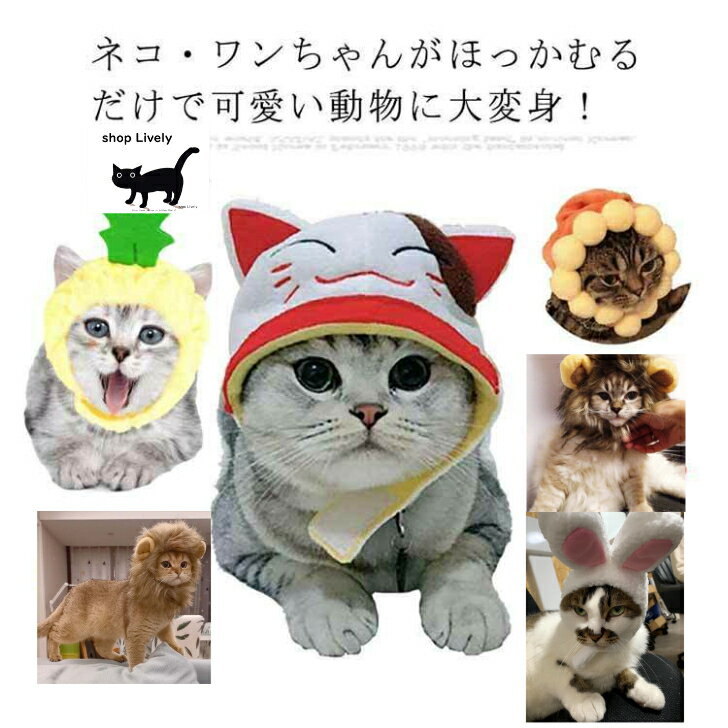 猫の変装アクセサリー キャットウェア ペットウェア 猫用品 面白い 動物 帽子 猫用 猫 ネコ 犬 ウサギ ほっかむり 映え 写真 被り物 かぶりもの かわいい 可愛い ペットグッズ ペット用品 アニマル アクセサリー 犬用 猫用