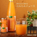 日南トマト加工株式会社 にんじんジュース 鳥取県日南町産 500ml 12本セット 産地直送 こだわりの 貰って嬉しい