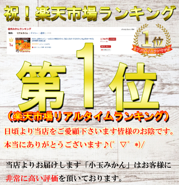 みかん 訳あり 送料無料 お客様満足度93パーセント超えの当店人気の 小玉 みかん 5kg (約60〜90玉) 10kg (約120〜180玉) 和歌山産 小粒