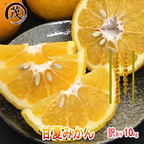 送料無料 訳あり 甘夏みかん 10kg（箱込約10kg　9kg＋保証分500g）サイズ混合 (約20玉-35玉入り) 和歌山産 柑橘 果物 フルーツ みかん 訳あり あまなつ