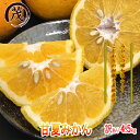 ★速攻出荷★ 訳あり 甘夏みかん 4.5kg サイズ混合 (約10玉-17玉入り) 和歌山産 柑橘 果物 フルーツ みかん 訳あり あまなつ